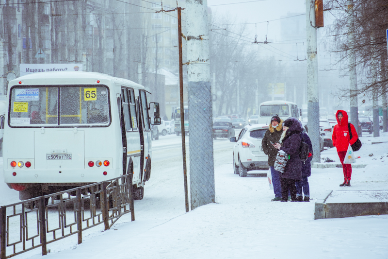Когда закончится снегопад и метель, рассказали синоптики в Воронеже