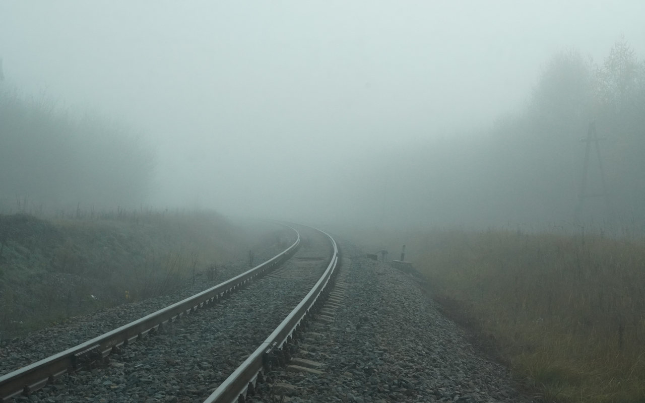 Предупреждение о тумане объявили для Воронежской области синоптики