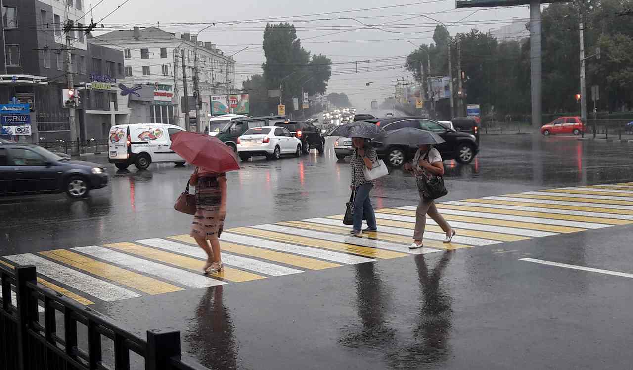 Синоптики рассказали, когда в Воронежской области закончатся обильные дожди