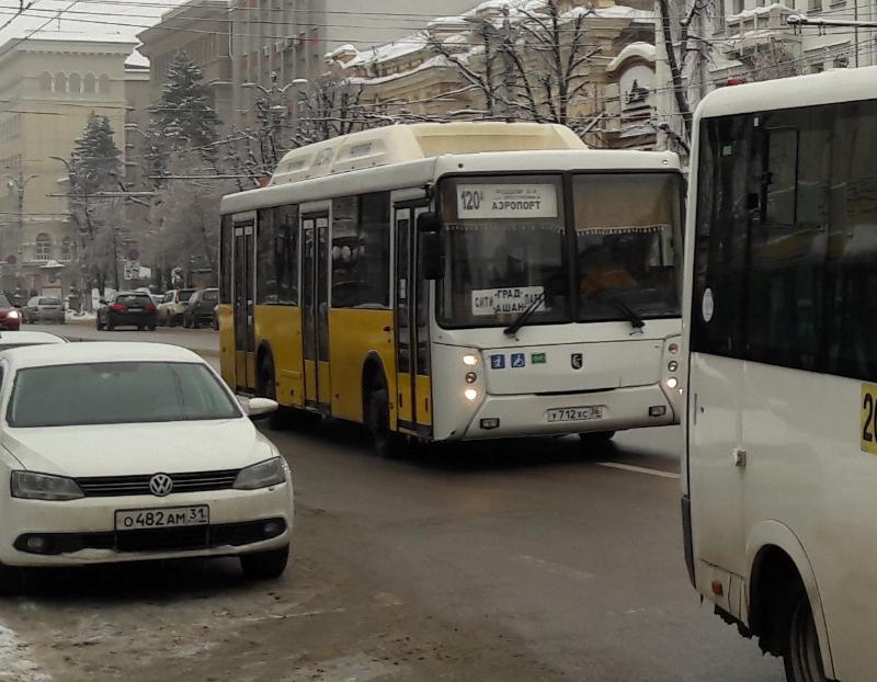 Воронежцев предупредили о воровках в маршрутках