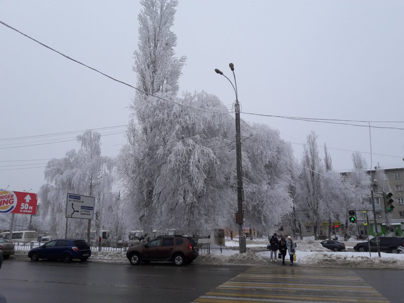 Облачная погода с дождями и мокрым снегом ожидается на рабочей неделе в Воронежской области