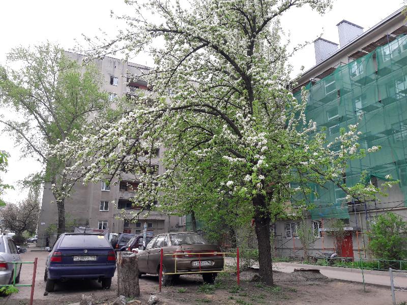 За повреждённую шифером машину житель Воронежской области отсудил 300 тыс. рублей