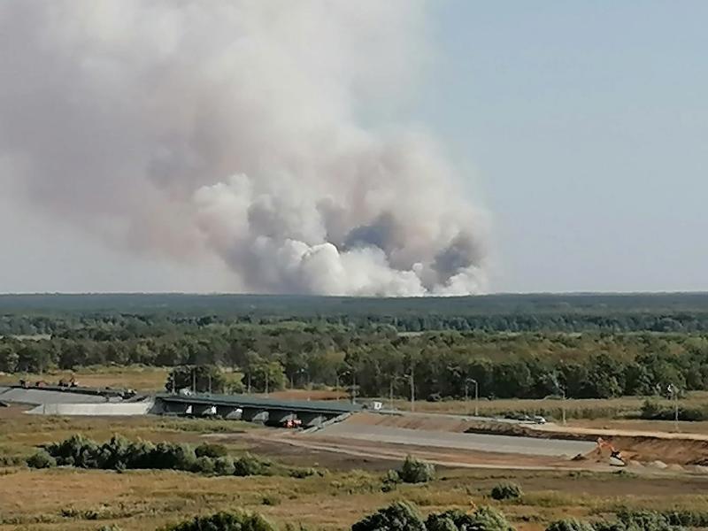 Лесной пожар разгулялся в Бобровском районе Воронежской области