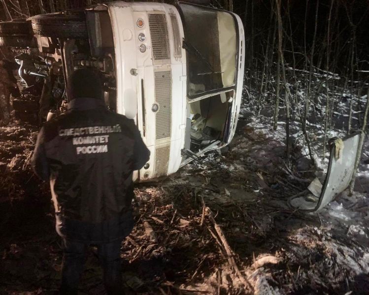 Под Воронежем 4 человека попали в больницу после опрокидывания в кювете рейсового автобуса
