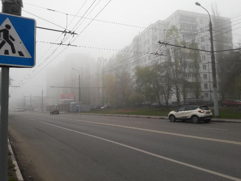 Жёлтый уровень погодной опасности из-за тумана объявлен в Воронежской области