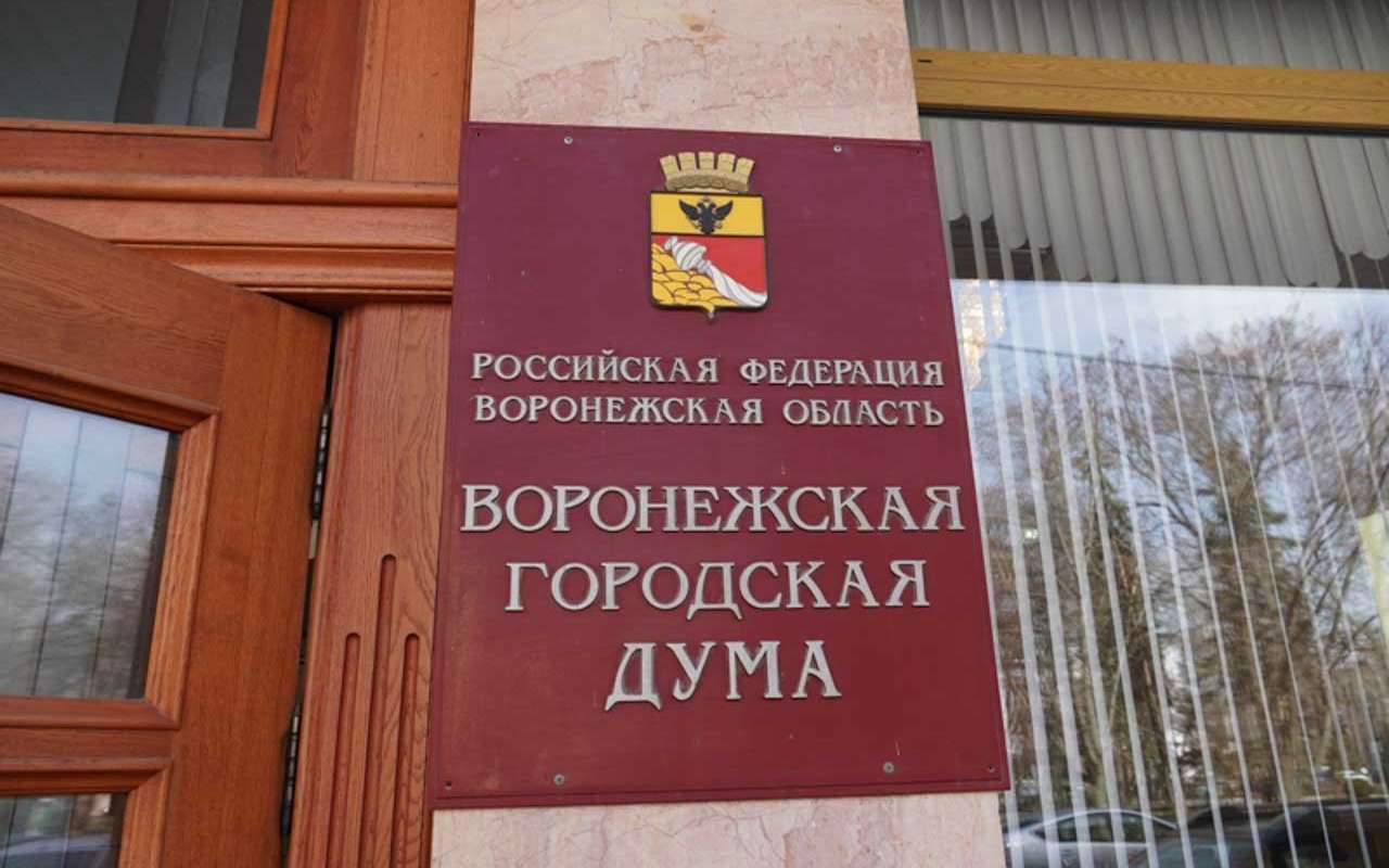 От избрания депутатов гордумы по партийным спискам предложили отказаться в Воронеже