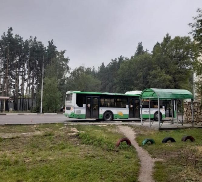 В Воронеже из-за резкого торможения маршрутного автобуса пострадал пенсионер
