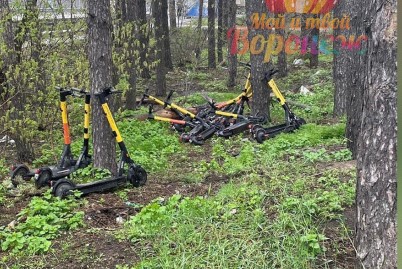 В воронежских лесопосадках нашли десяток брошенных электросамокатов