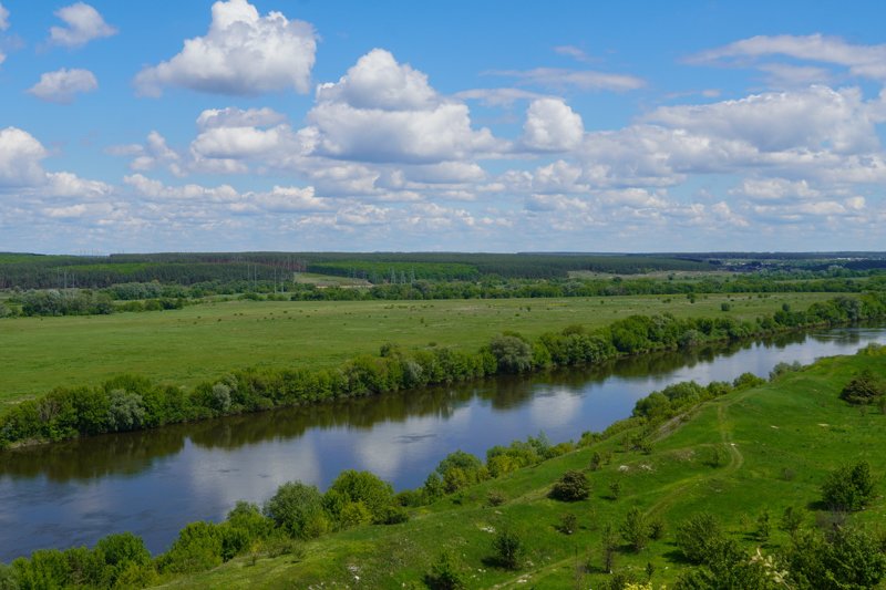 На расчистку воронежских рек направили 90 млн рублей в 2022 году