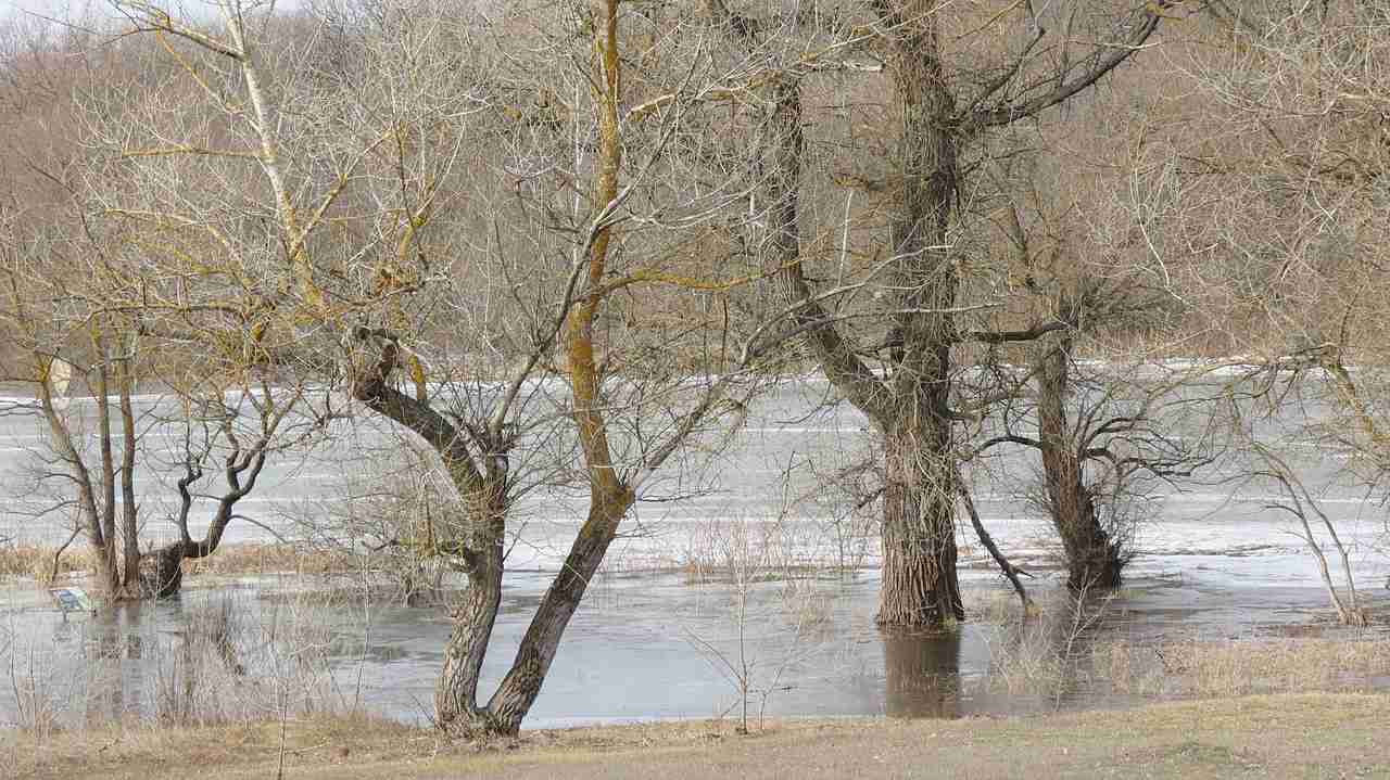 В Воронежской области ожидается две волны паводка
