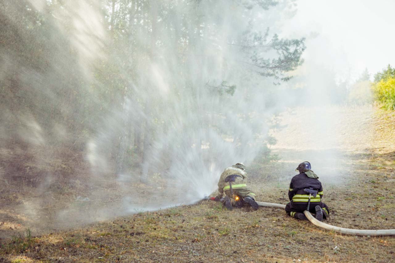 В Воронежской области ввели желтый уровень пожарной опасности