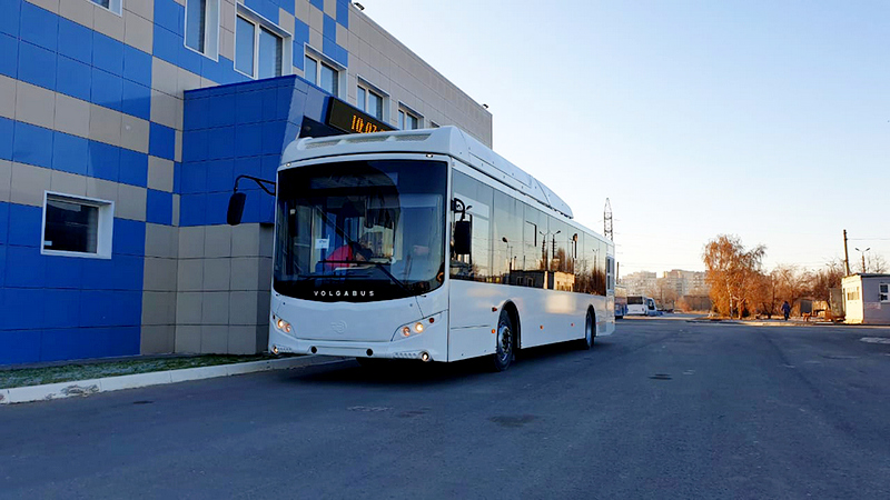 На семь маршрутов общественного транспорта в Воронеже определили перевозчиков