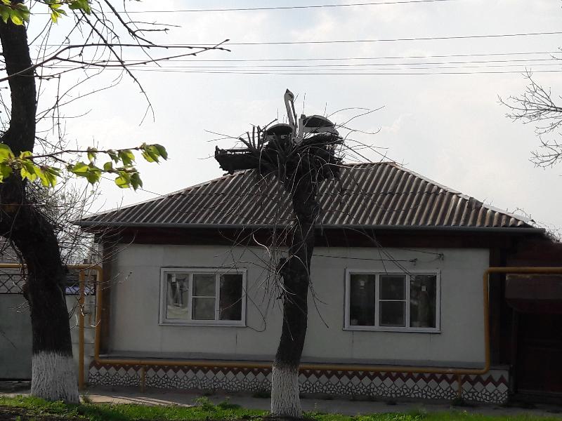 Под видом покупки дома мошенник оформил кредит на жителя Воронежской области