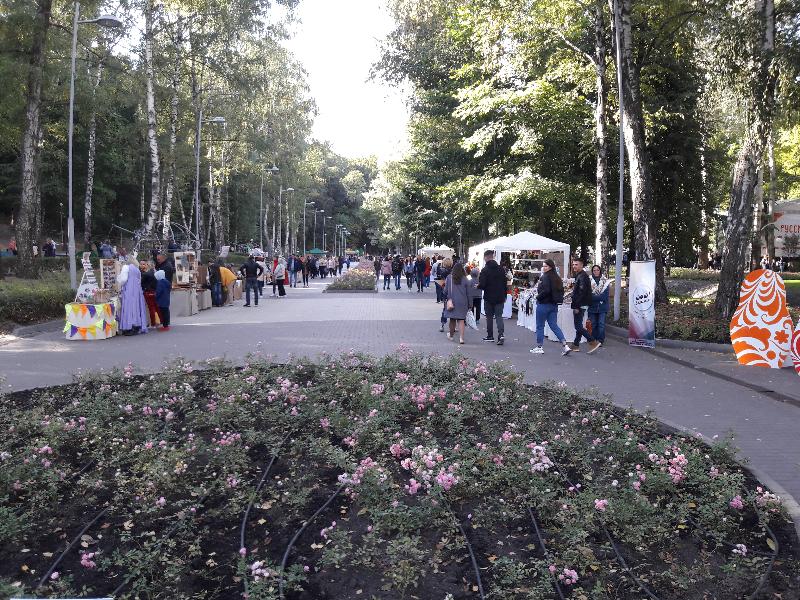 Открывают для посещений приведённый в порядок после затопления в Воронеже Центральный парк 