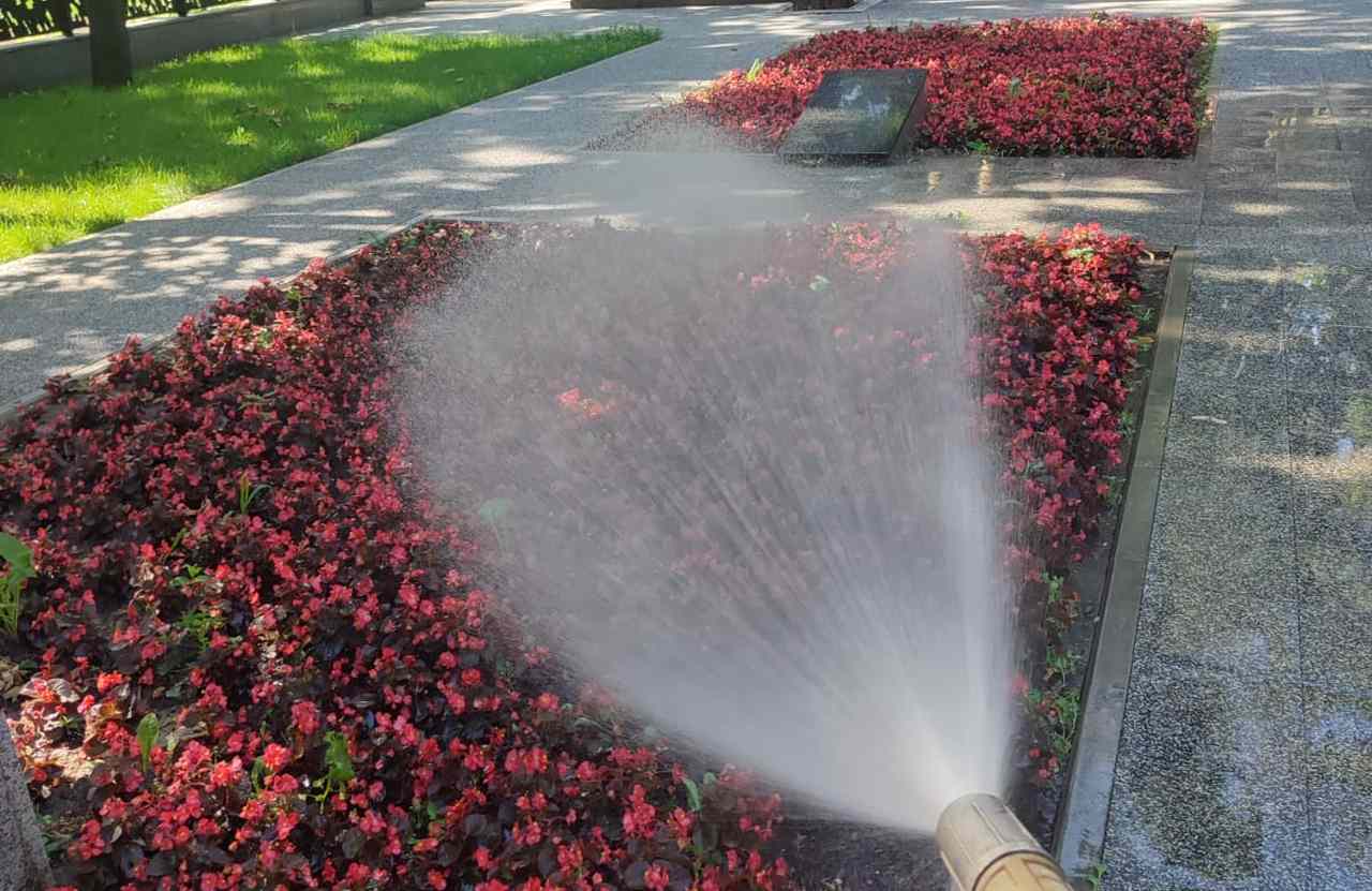 В жару в Воронеже проводят водные процедуры для цветов