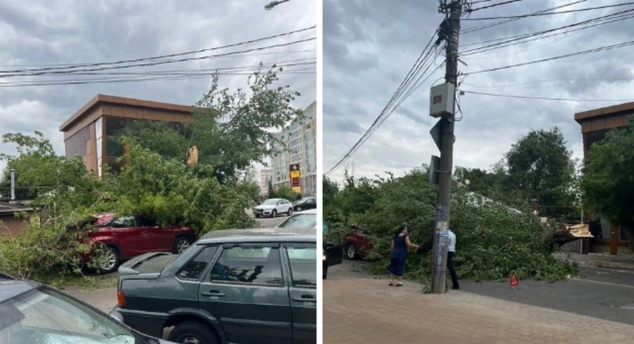 В Воронеже сильный ветер повредил 12 деревьев