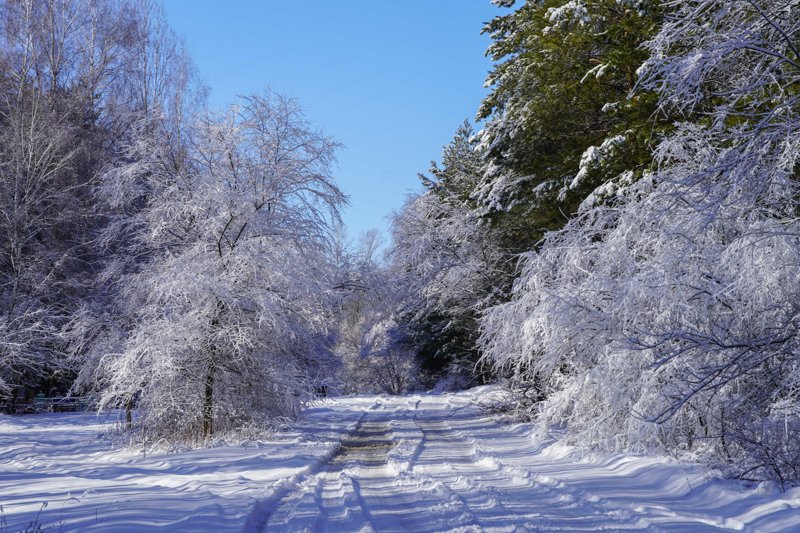 Штормовое предупреждение из-за аномального мороза продлили в Воронежской области