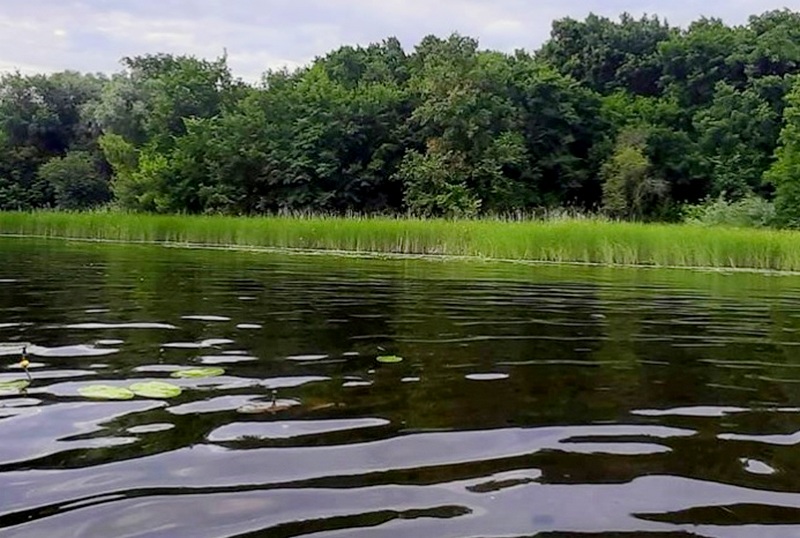 Воронежские экологи нашли в трех районах еще 20 приватизированных участков на берегах рек