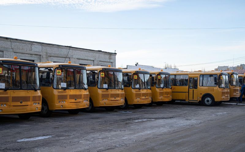 Для школ Воронежской области закупили 55 новых автобусов за 197 млн рублей
