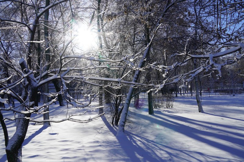 Морозная погода установится в Воронежской области на короткой рабочей неделе