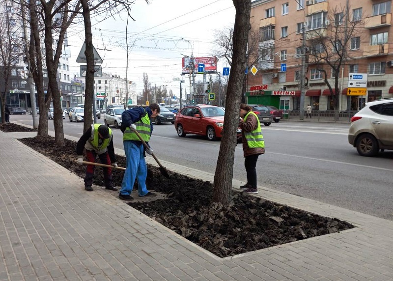 Газоны в центре Воронежа обустроили по новой технологии