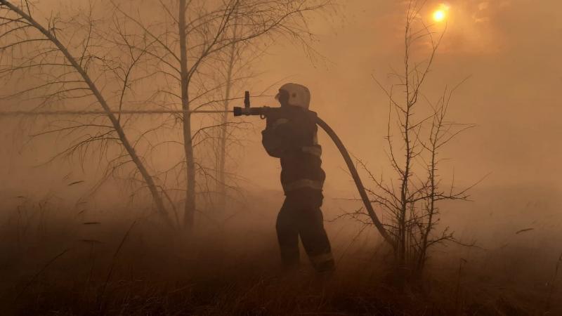 Тушение лесного пожара на Кожевенном кордоне в Воронеже осложняет ветер (ВИДЕО)