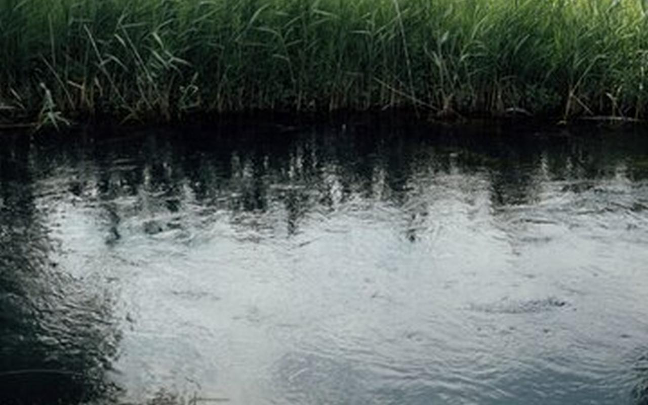 В реке Воронеж на отдыхе с отцом утонул пятилетний мальчик