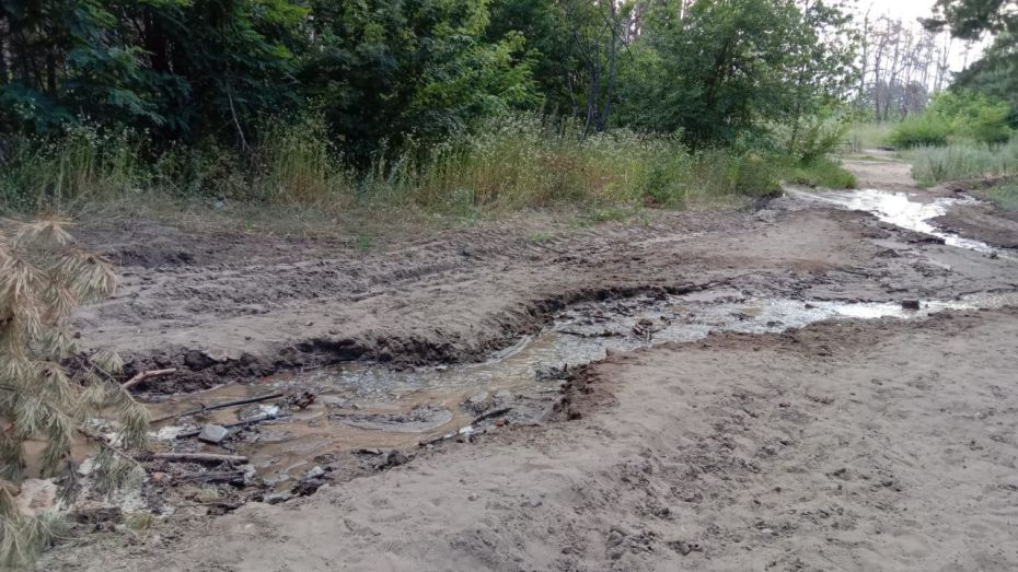 Из-за порыва трубы водой в Воронеже заливает Северный лес