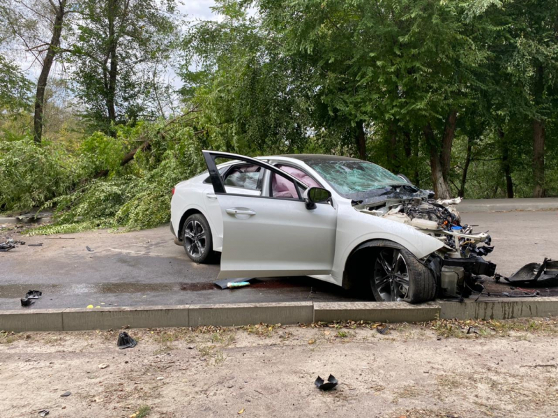 Два человека пострадали после наезда иномарки на дерево в Воронежской области