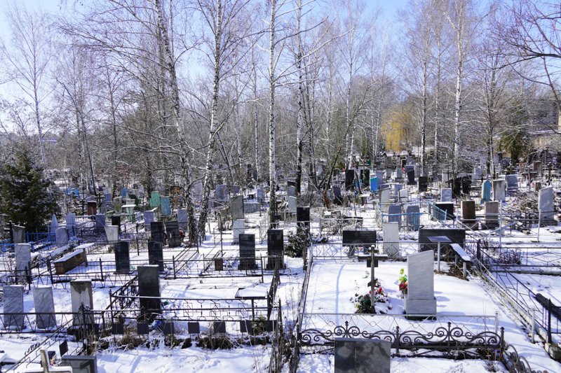 За год в Воронежской области взлетели показатели естественной убыли населения