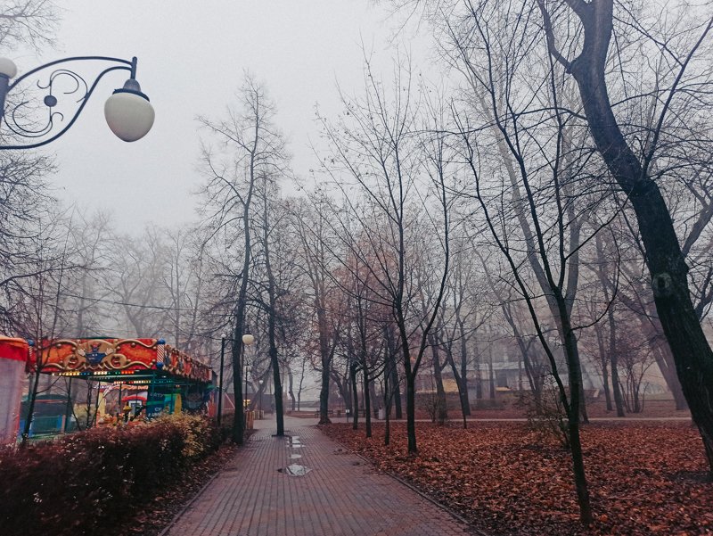 Дождливая и пасмурная погода ожидается в Воронежской области в последние выходные осени