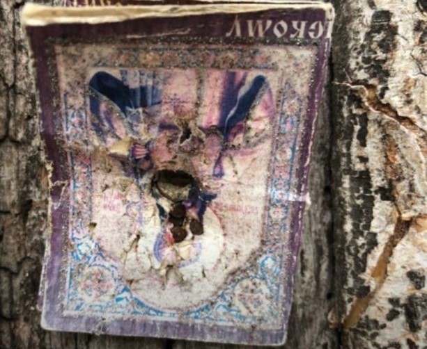 В воронежском парке вандалы развесили изуродованные православные иконы