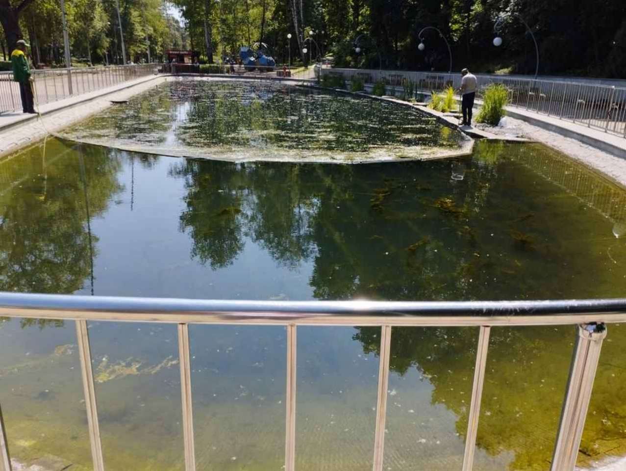 В Центральном парке Воронежа водоросли из озера собирают трижды в день