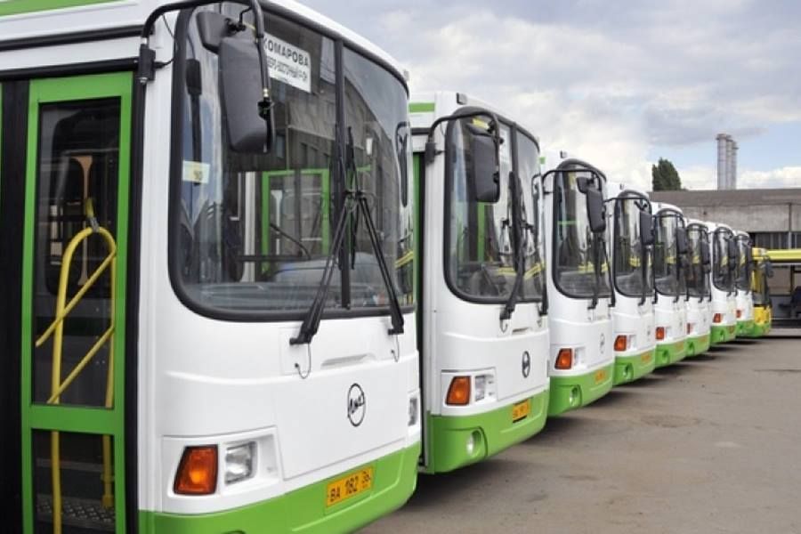В Воронеже откроют три новых автобусных маршрута