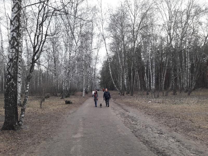 Начало мая в Воронеже оказалось самым холодным за последние 14 лет