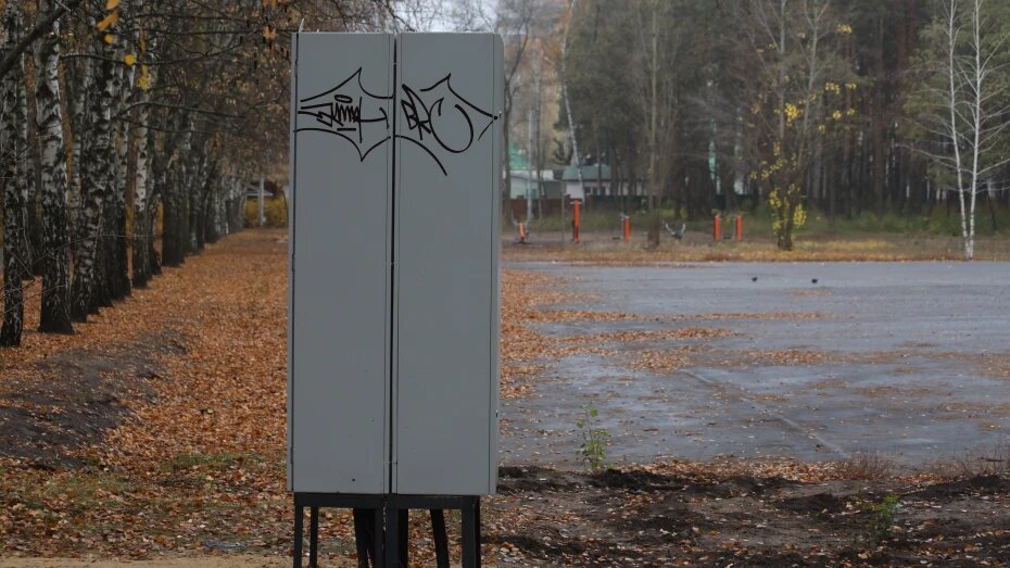 Атакам вандалов подвергся воронежский парк «Танаис»