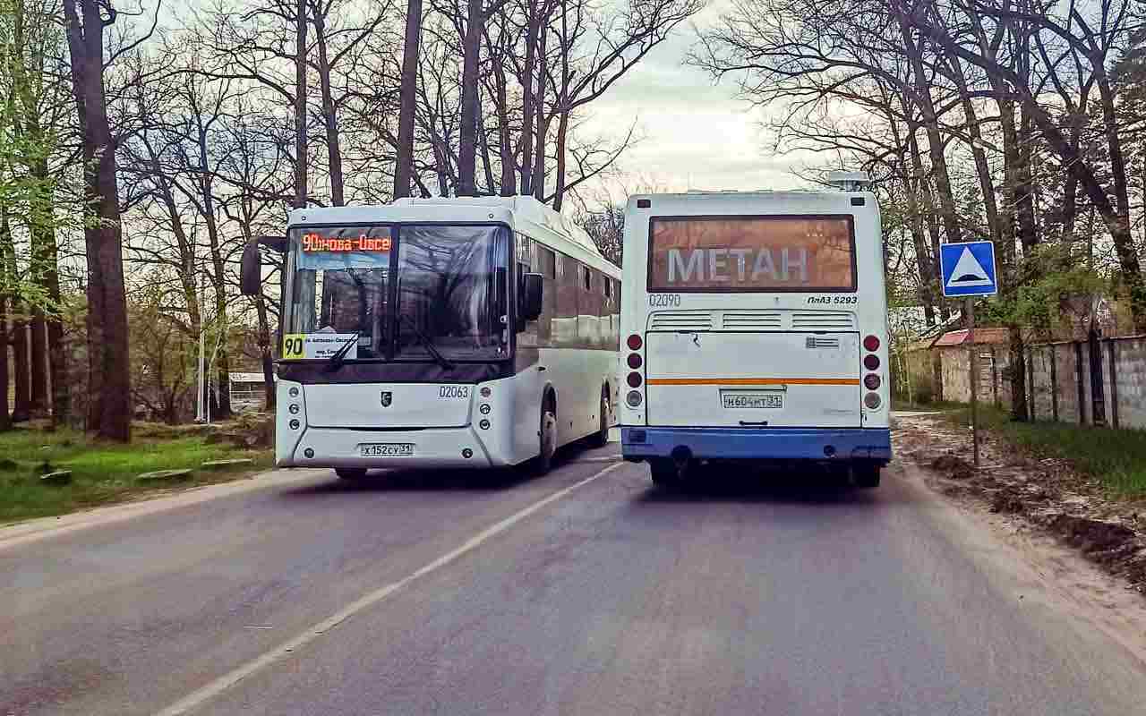 Из-за репетиции парада 4 мая изменится маршрут пригородных автобусов в Воронеже