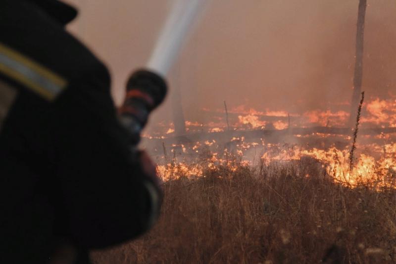 Три новых крупных ландшафтных пожара вспыхнули в Воронежской области