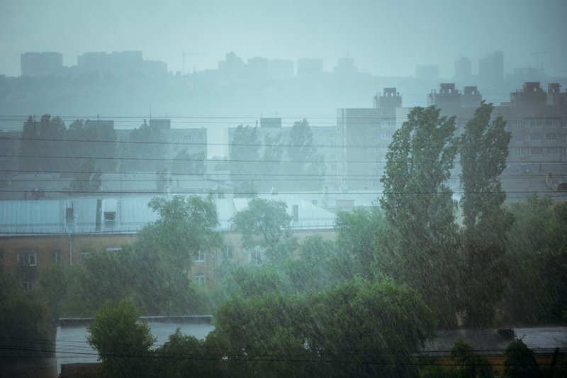 Желтый уровень опасности объявили для Воронежской области из-за сильного ветра 17 мая