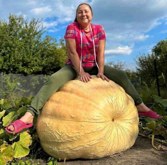 Тыкву-гигант в 250 кг вырастила блогер из Воронежской области