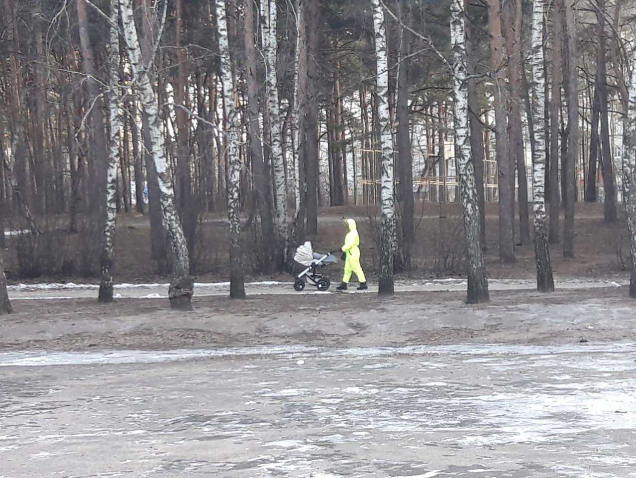 Из-за гололёда в Воронежской области снова введён жёлтый уровень погодной опасности