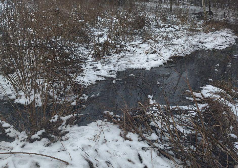 Под Воронежем в лесной массив попали сточные воды из разрушенного отстойника 