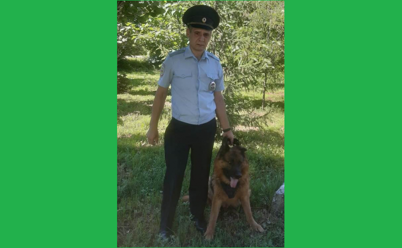 Пёс Оскар помог задержать напавшего на стариков грабителя в Воронежской области