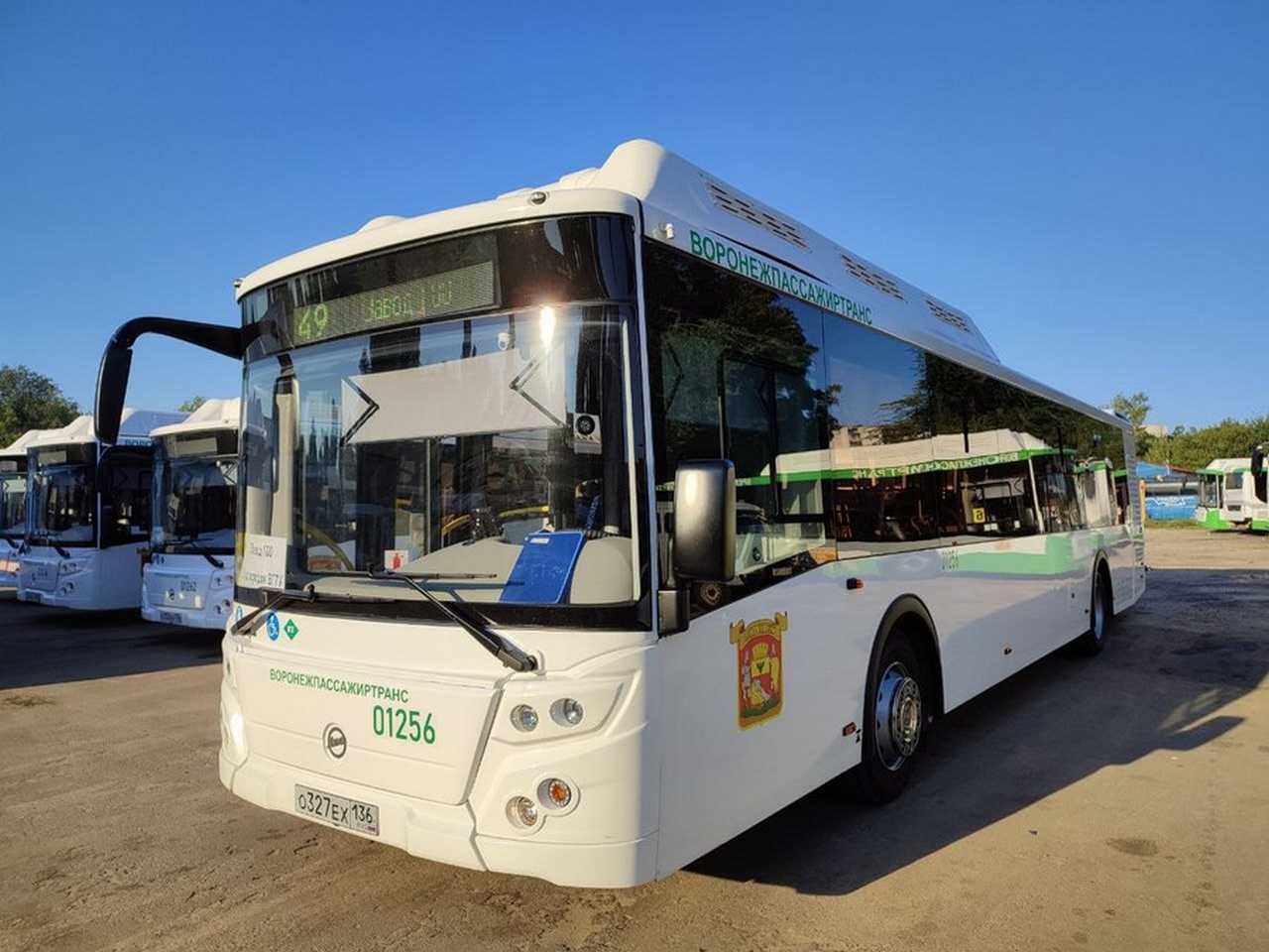 Автобусы будут ходить до концертных площадок воронежского «Черноземфеста»
