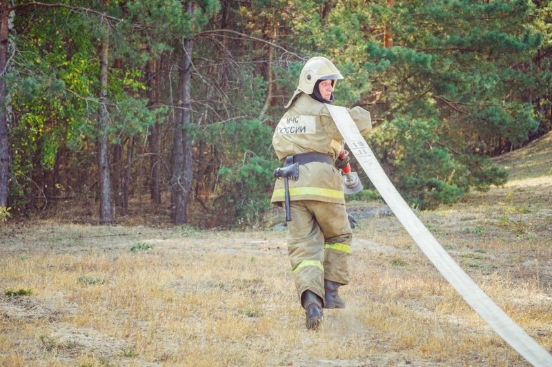 Глава управления лесхоза обратился к воронежцам из-за чрезвычайной пожарной угрозы
