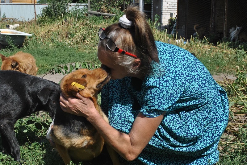 Репортаж из сгоревшего частного приюта для собак в Новоусманском районе