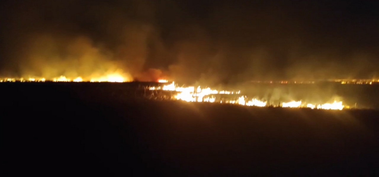 Жуткими кадрами ландшафтного пожара поделились жители воронежского села