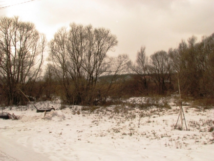 Пропавшего в январе мужчину обнаружили убитым в  камышах под Воронежем