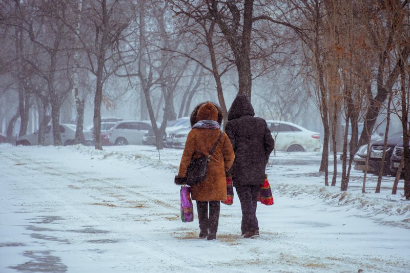 Снежная и морозная погода задержится в Воронежской области в предстоящие выходные
