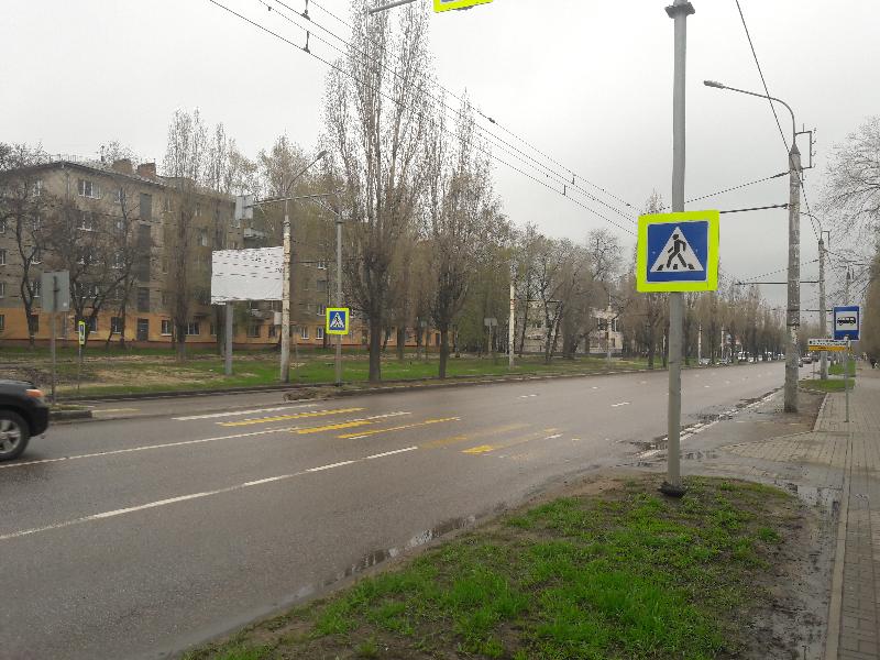 Под колёса «Лады» на пешеходном переходе в Воронеже угодили 3-летняя девочка и пенсионерка